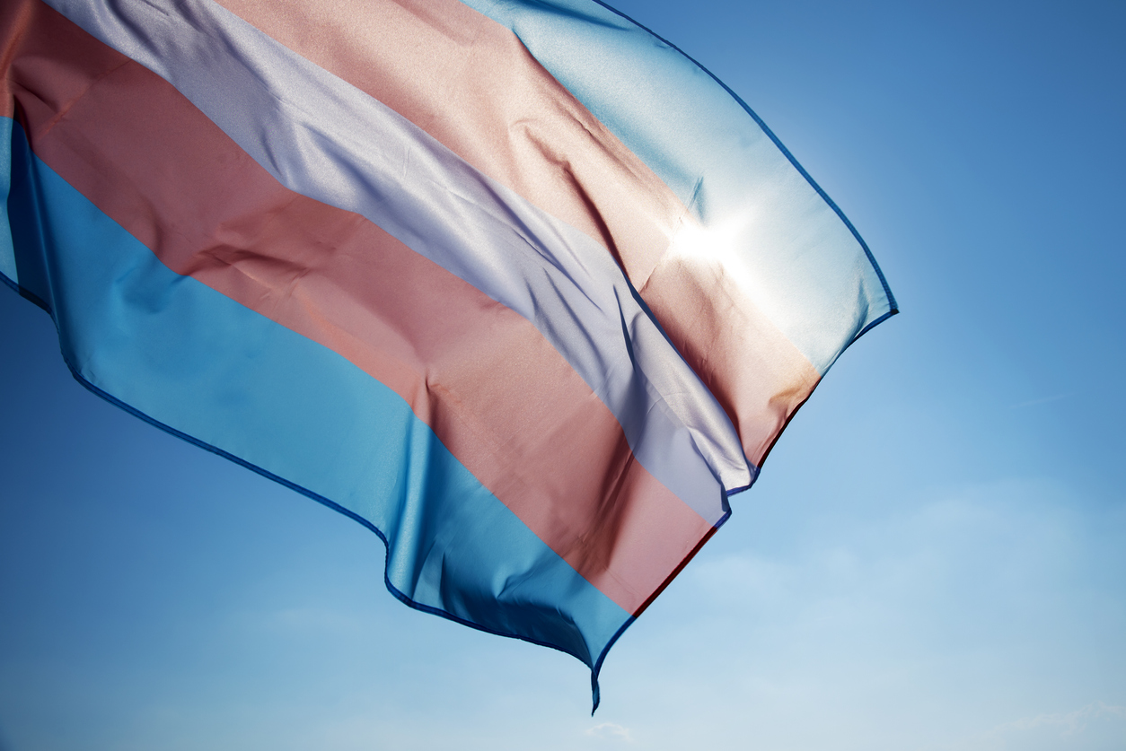 Transgender Flag Pink White and Light Blue Waving in the Sky 