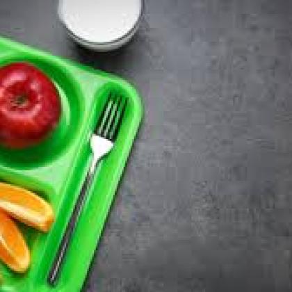 School Meal on Green Tray